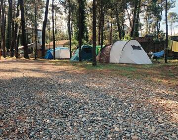 Фотографии Кемпинги Camping Area Ureki г. Уреки (Грузия) №4 Фото Кемпинги Camping Area Ureki г. Уреки 4