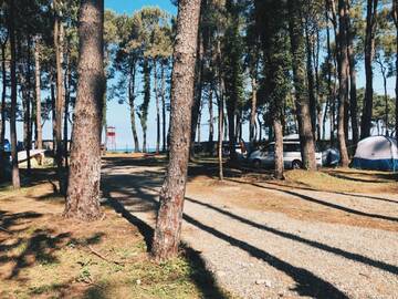 Фотографии Кемпинги Camping Area Ureki г. Уреки (Грузия) №5 Фото Кемпинги Camping Area Ureki г. Уреки 5