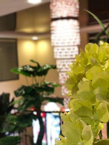 Фото номера Большой двухместный номер с 1 кроватью Отель GNS Hotel г. Уреки 26