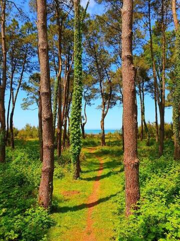 Фото номера Дом с 2 спальнями Дома для отпуска Sesil M 90m from beach г. Уреки 36